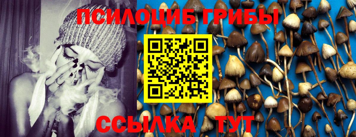 Тосно  Галлюциногенные грибы мухоморы  Вход с VPN 