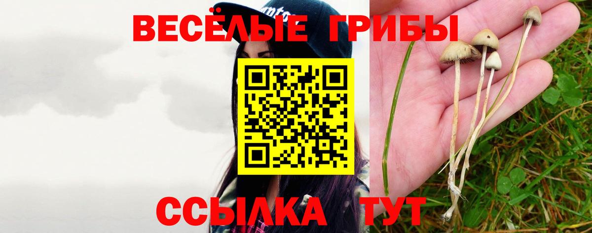 Псилоцибиновые грибы MAGIC MUSHROOMS Тосно