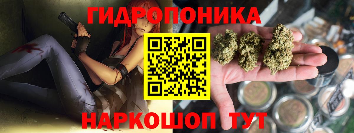 Бошки Шишки гибрид Тосно